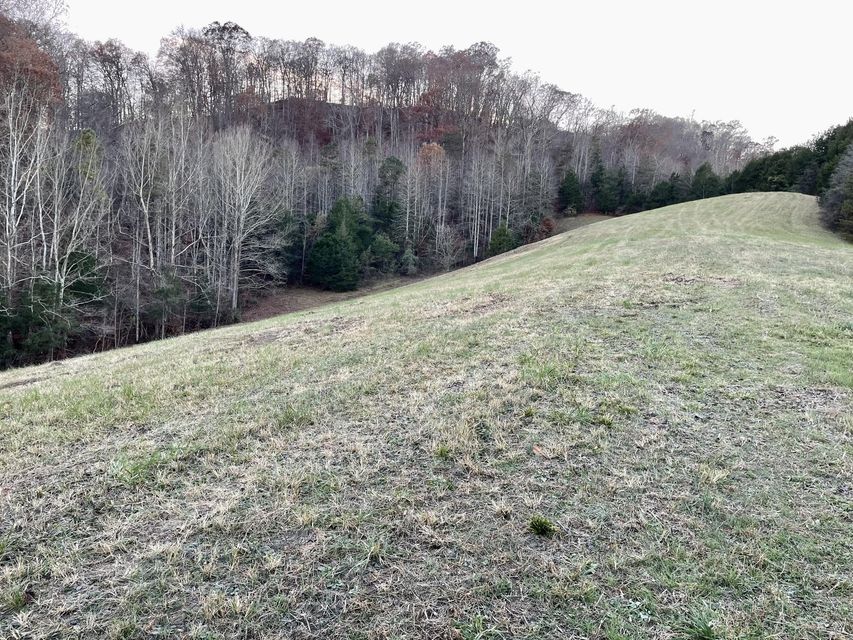 Photo #39: 00 Clinch River Circle