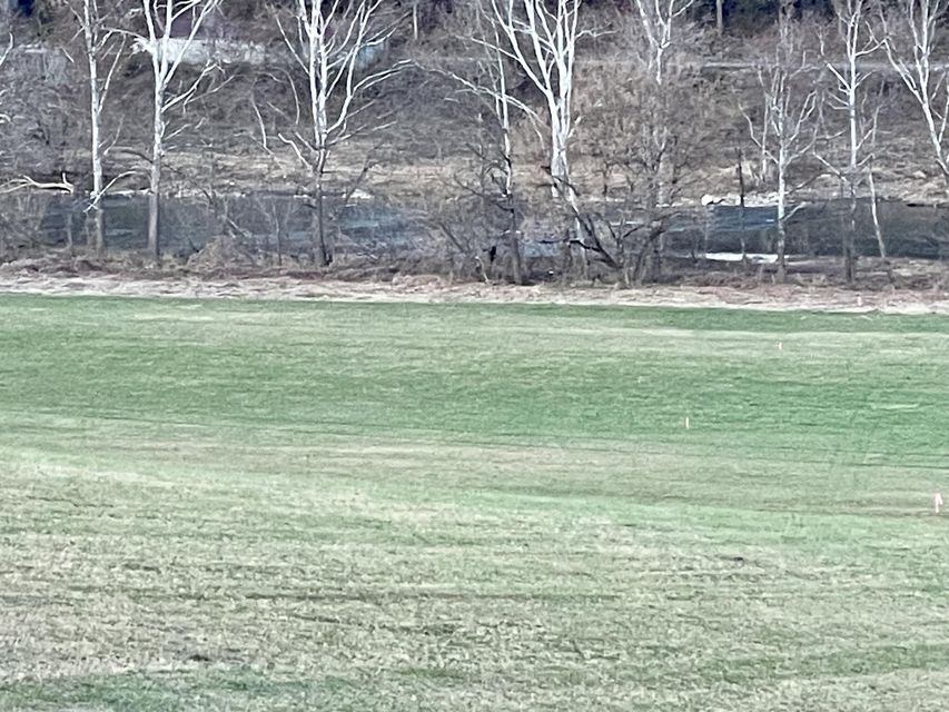 Photo #43: 00 Clinch River Circle