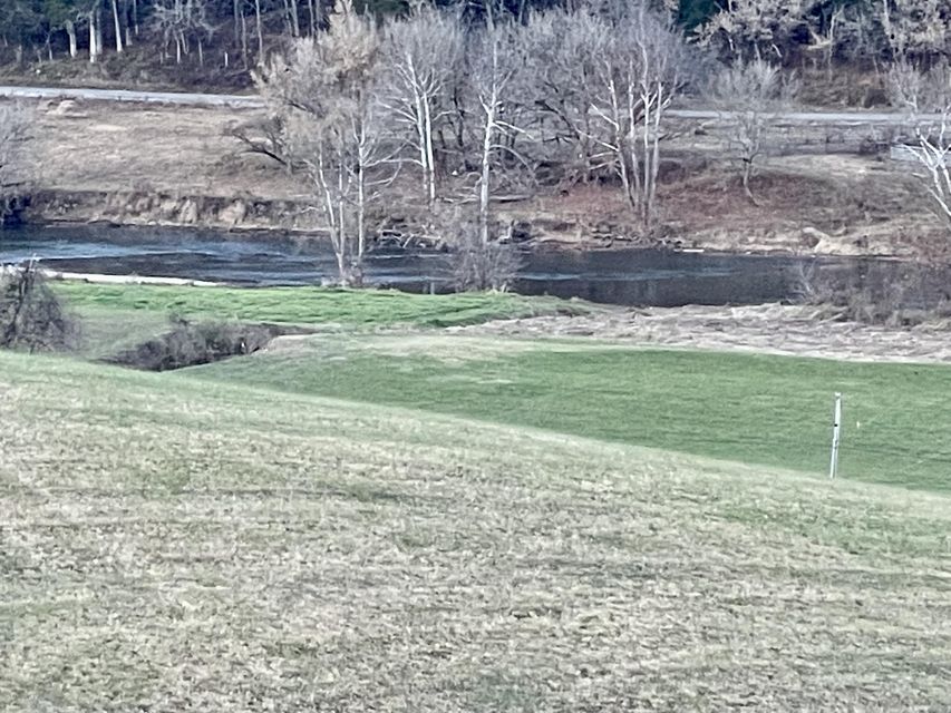 Photo #44: 00 Clinch River Circle