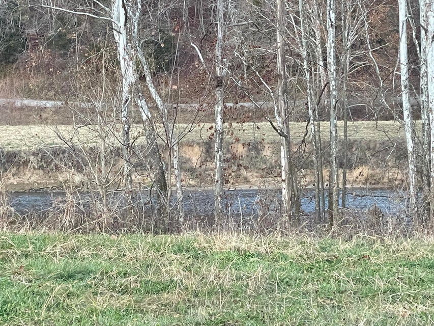Photo #52: 00 Clinch River Circle