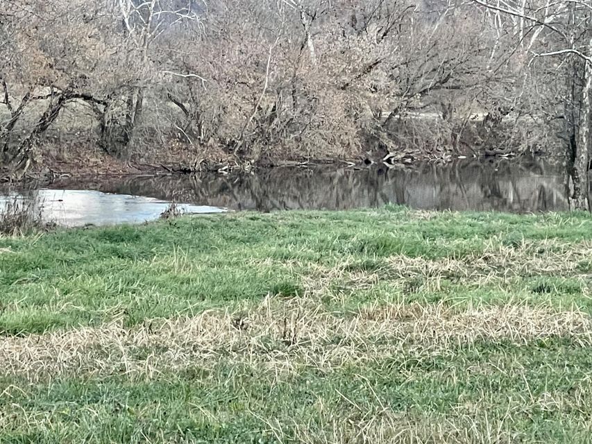 Photo #53: 00 Clinch River Circle