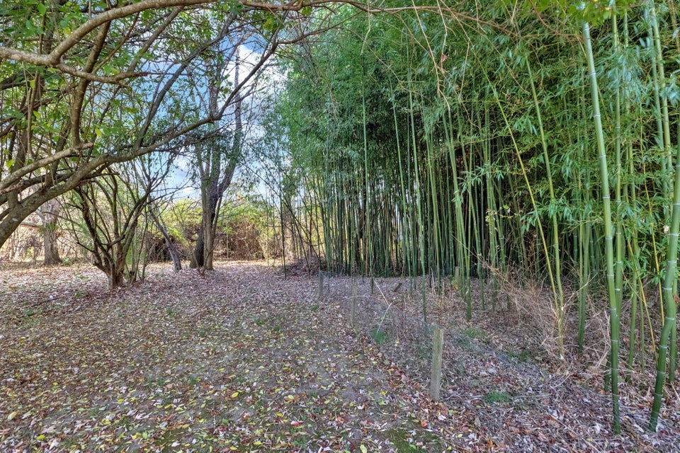 Photo #29: 3407 Mckinley Road