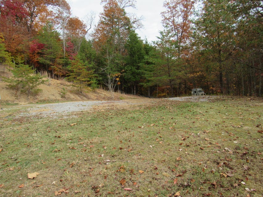 Photo #38: 3560 Possum Hollow Road