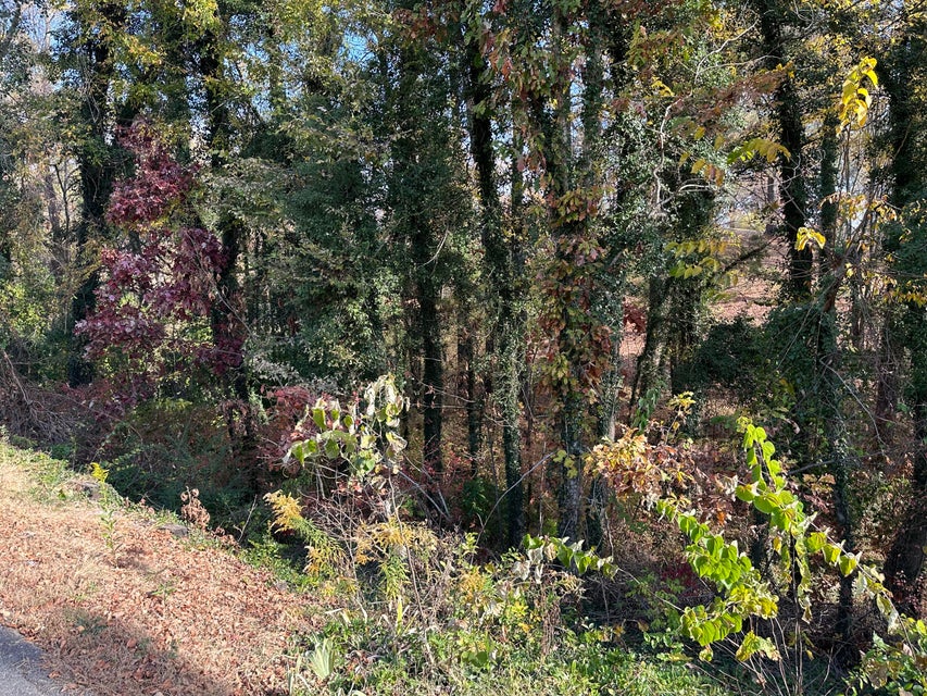Photo #4: Tbd Ridgecrest Drive