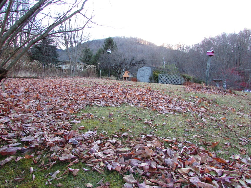 Photo #61: 105 Orchard Meadows