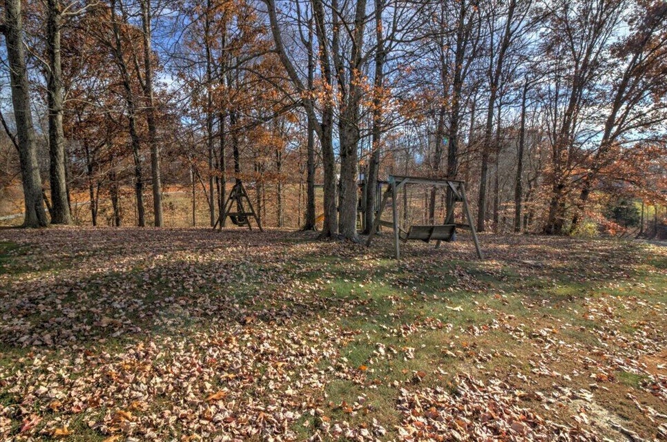 Photo #79: 1030 Old Boones Creek Road