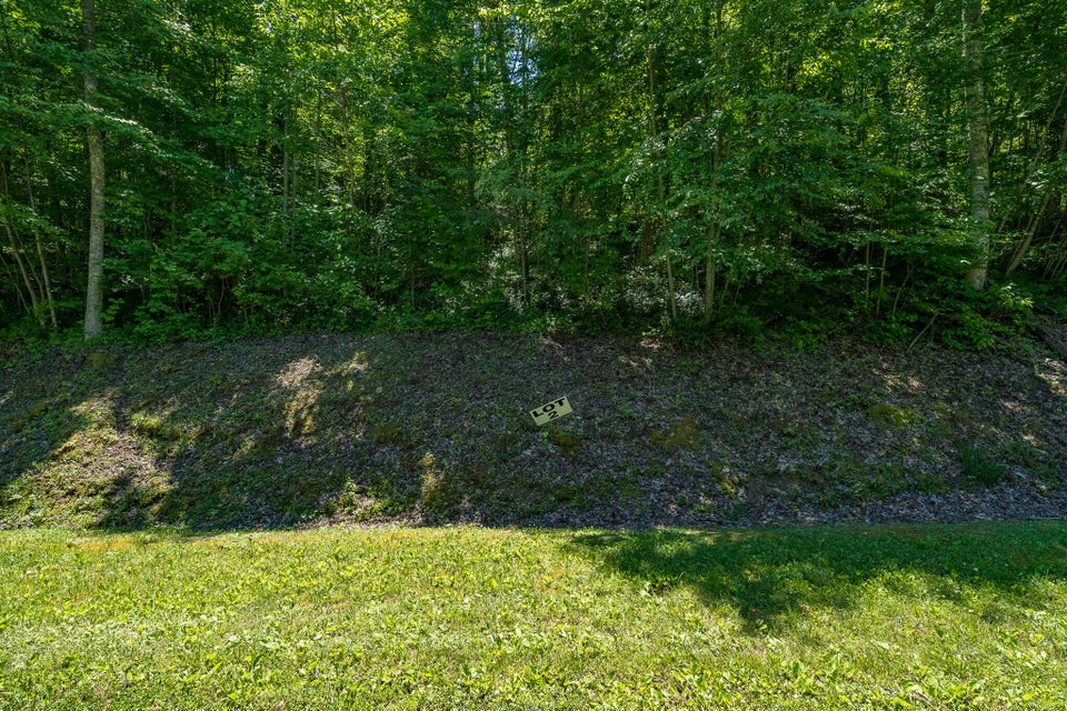 Photo #46: Lot 2 Ridgetop Lane