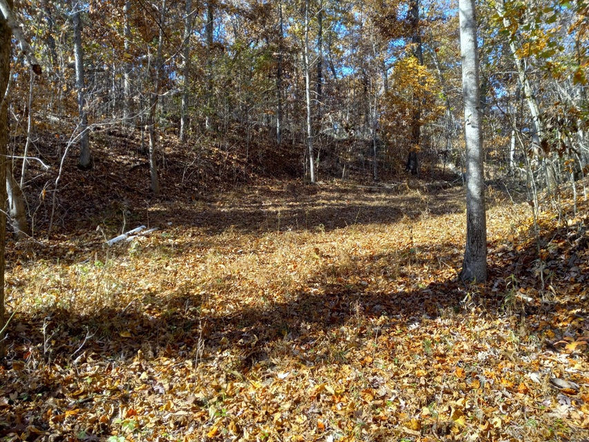 Photo #4: 353 Bill West Road