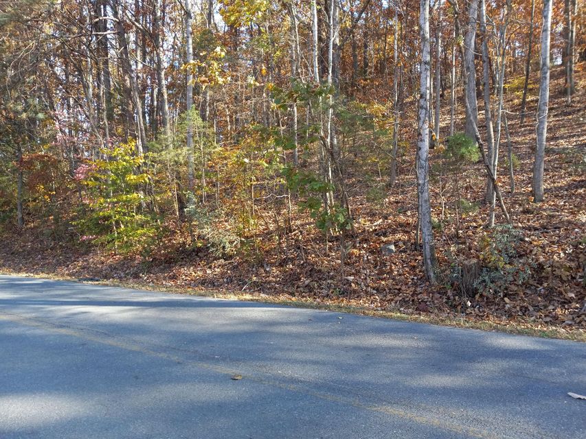 Photo #28: 353 Bill West Road