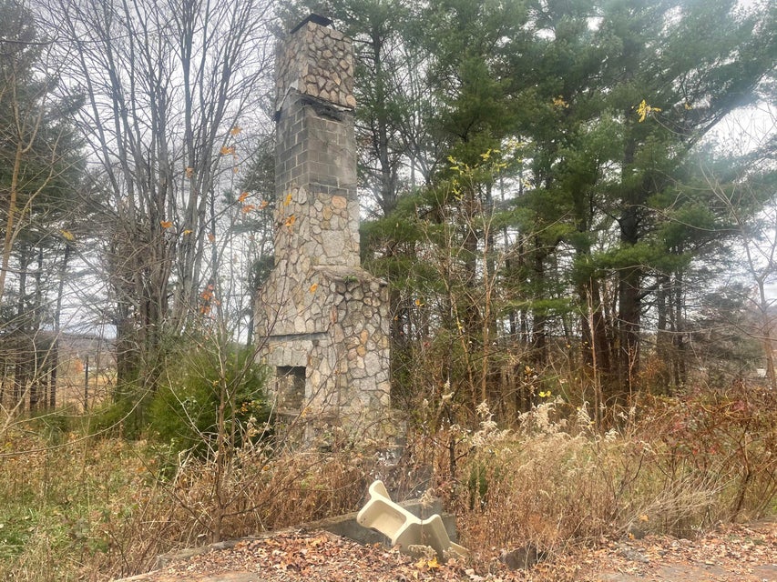 Photo #3: 000 Woodland Drive