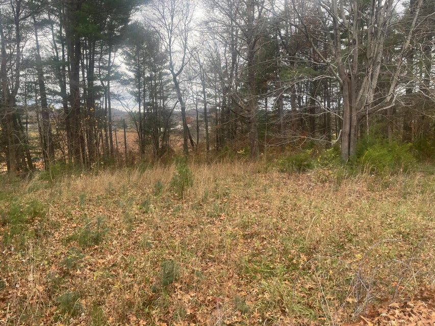 Photo #7: 000 Woodland Drive