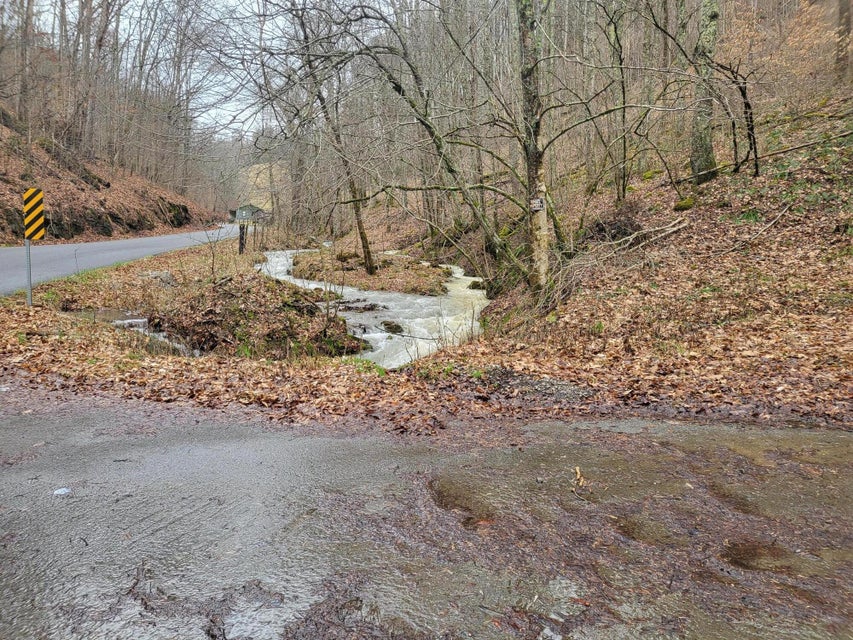 Photo #19: 1965 Carterton Road