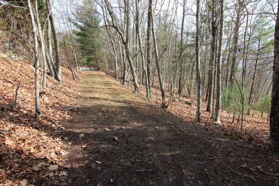 Photo #42: 5906 Callalantee Drive