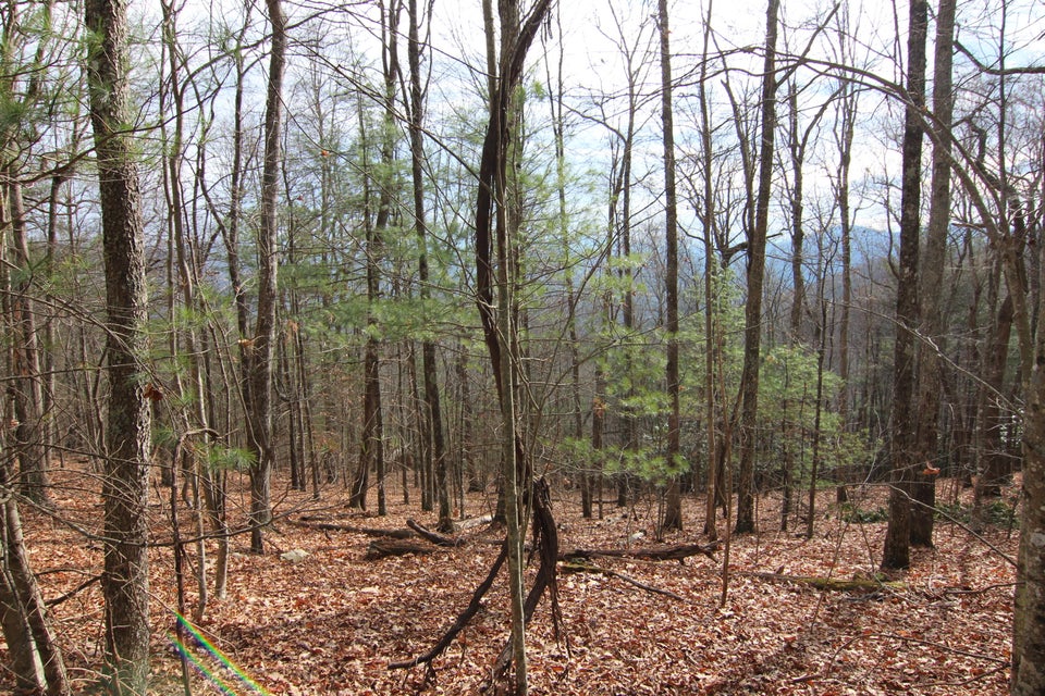 Photo #55: 5906 Callalantee Drive