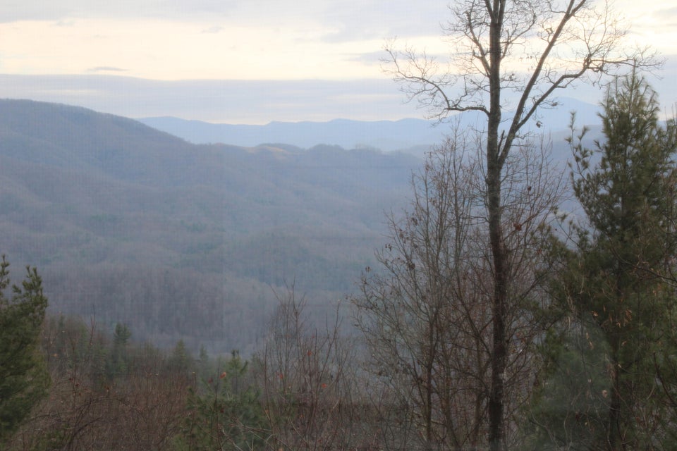 Photo #53: 5906 Callalantee Drive