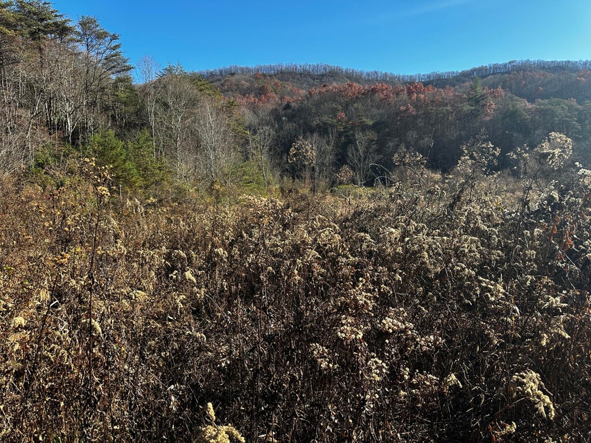 Photo #9: 28651 Poor Valley Road