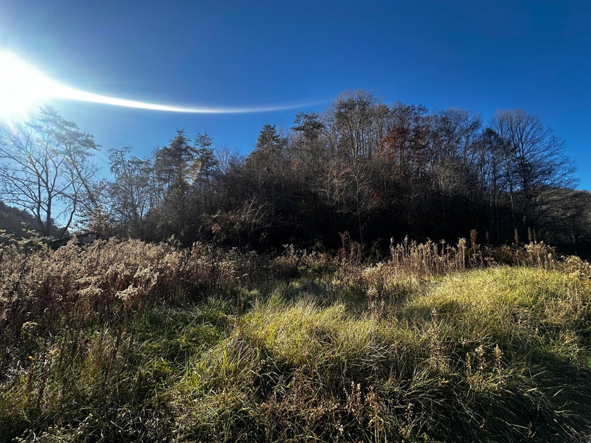 Photo #14: 28651 Poor Valley Road