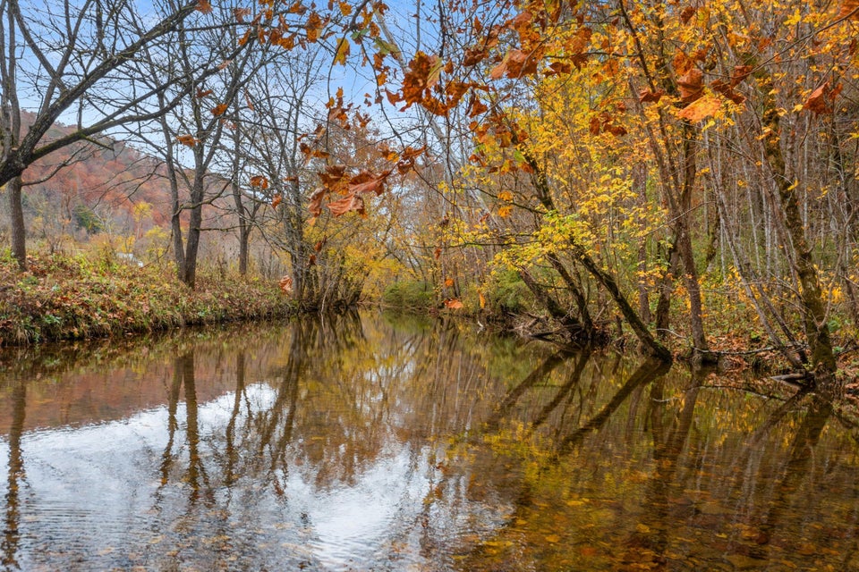 Photo #41: 1650 Indian Creek Road