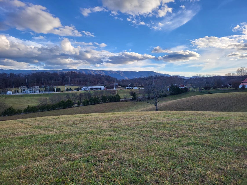 Photo #6: Lot 4 Jones Bridge Road