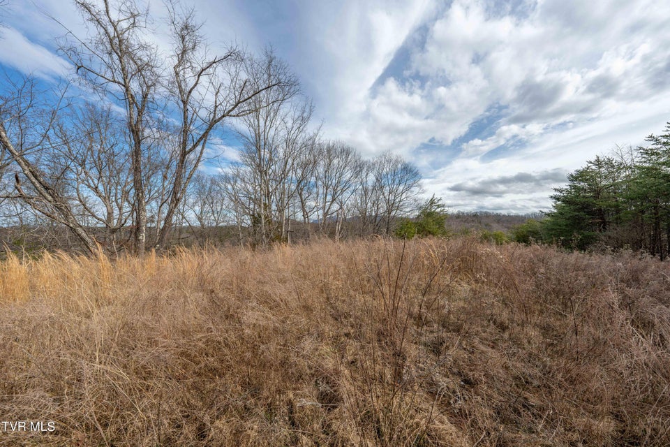 Photo #30: Tbd Lick Creek Road