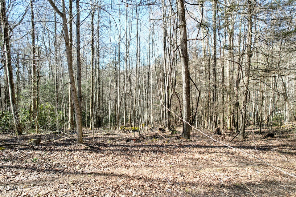 Photo #12: Lot 30 Hemlock Drive