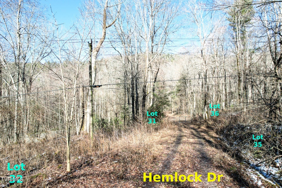 Photo #8: Lot 31 Hemlock Drive