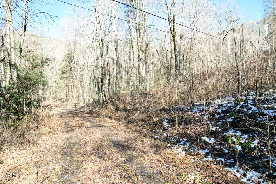 Photo #3: Lot 35 Hemlock Drive