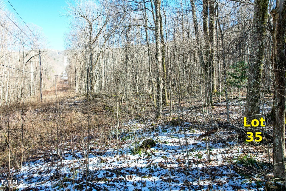 Photo #9: Lot 35 Hemlock Drive