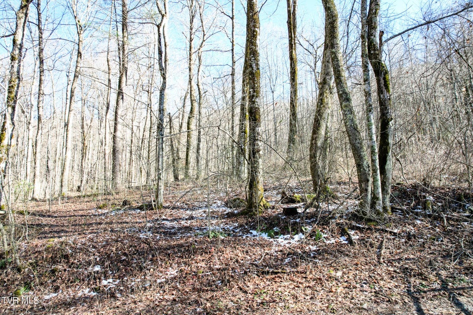 Photo #16: Lot 35 Hemlock Drive