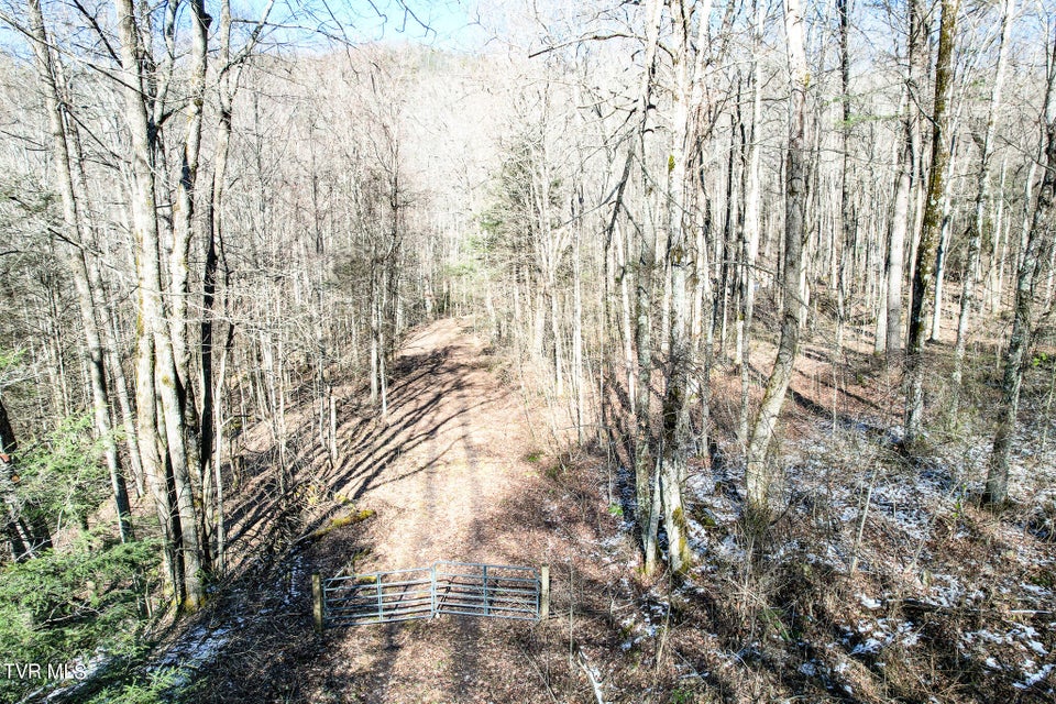 Photo #17: Lot 35 Hemlock Drive