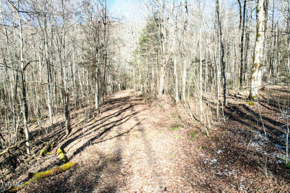 Photo #19: Lot 35 Hemlock Drive