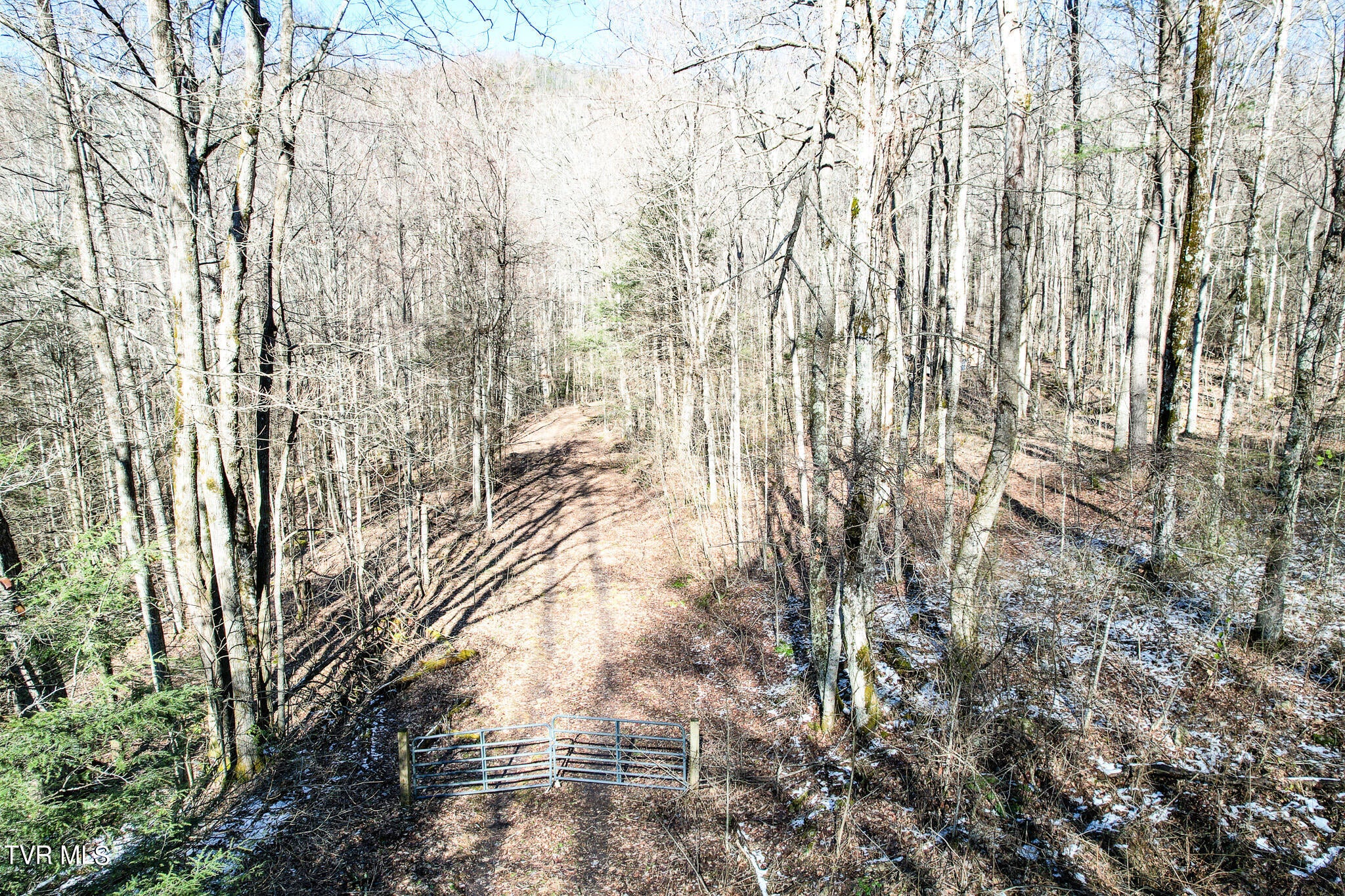 Photo #17: Lot 37 Hemlock Drive