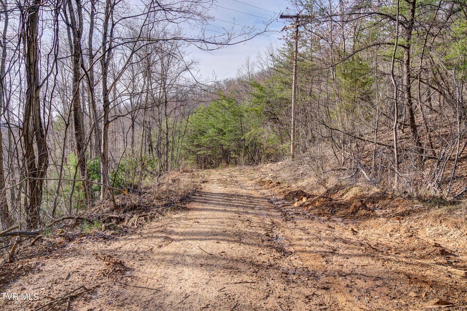 Photo #47: Tbd Sandmine Road