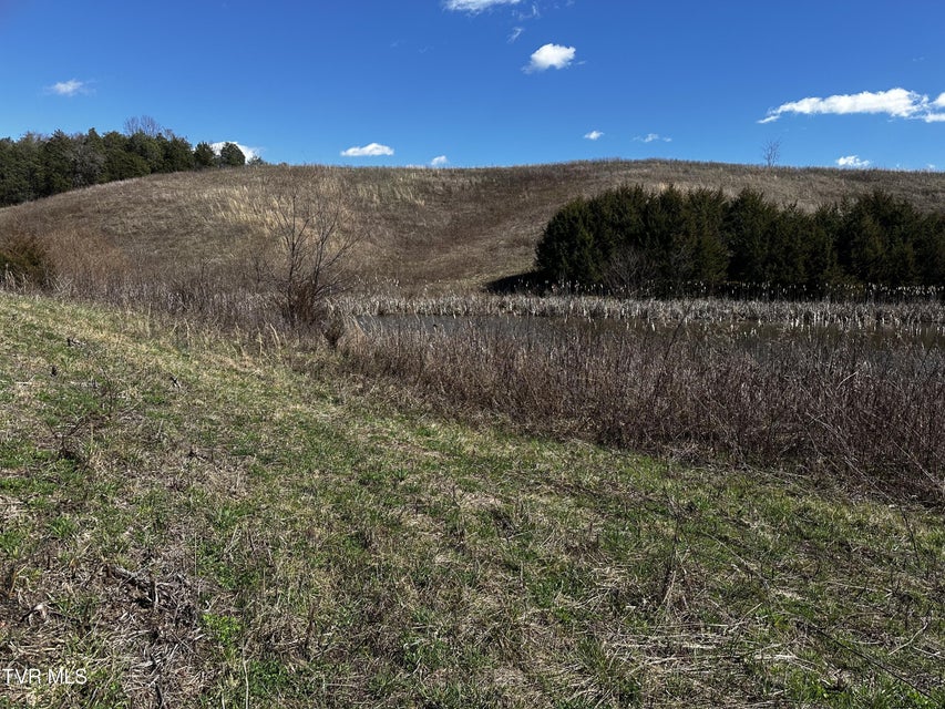 Photo #27: 20.75+/-Ac Baileyton Road