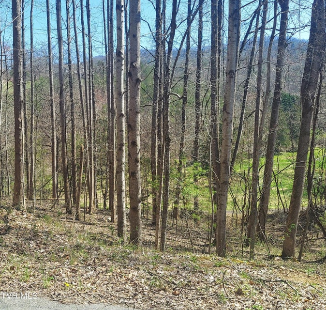 Photo #2: Lot 181 Ox Bow Rd 