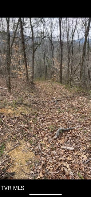 Photo #2: 00 Early Branch Road