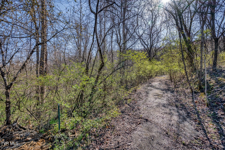 Photo #5: Tbd Cannon Hill Drive