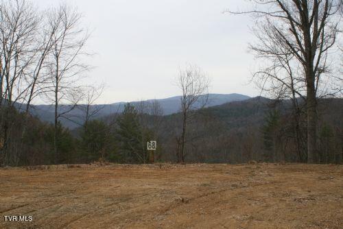 Photo #3: 306 Honeymoon Lot 68 Hollow