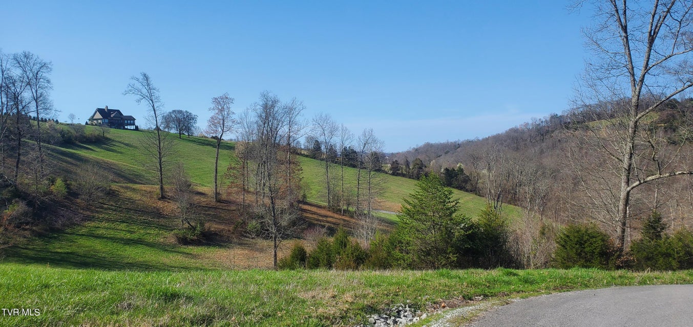 Photo #31: Lot 2 Smokey Quartz Boulevard