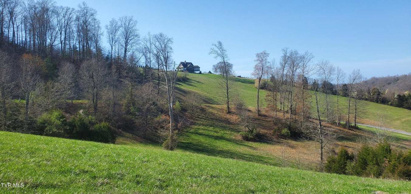 Photo #32: Lot 2 Smokey Quartz Boulevard