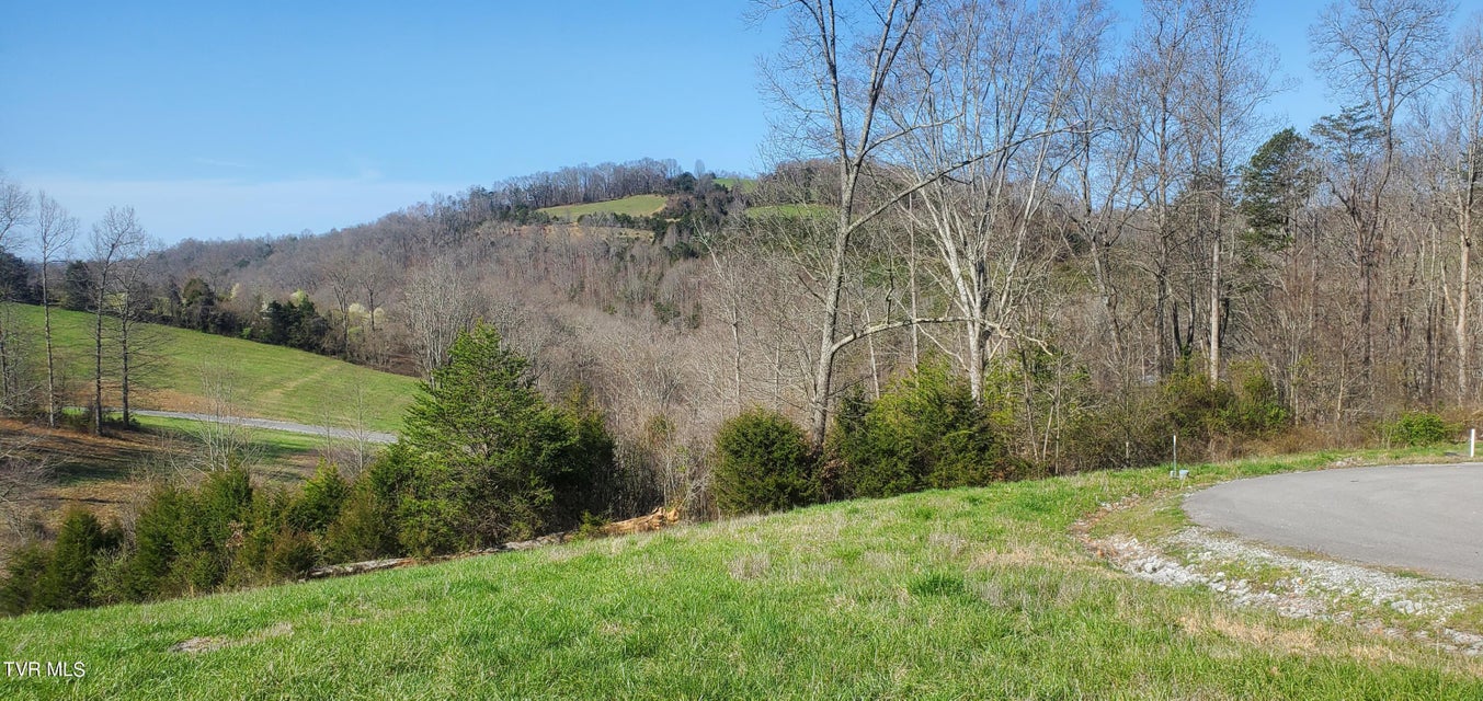 Photo #33: Lot 2 Smokey Quartz Boulevard