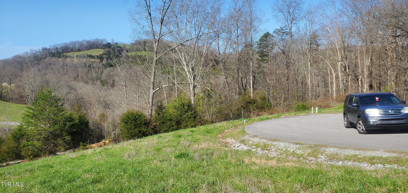 Photo #34: Lot 2 Smokey Quartz Boulevard