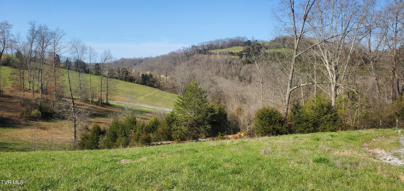 Photo #35: Lot 2 Smokey Quartz Boulevard