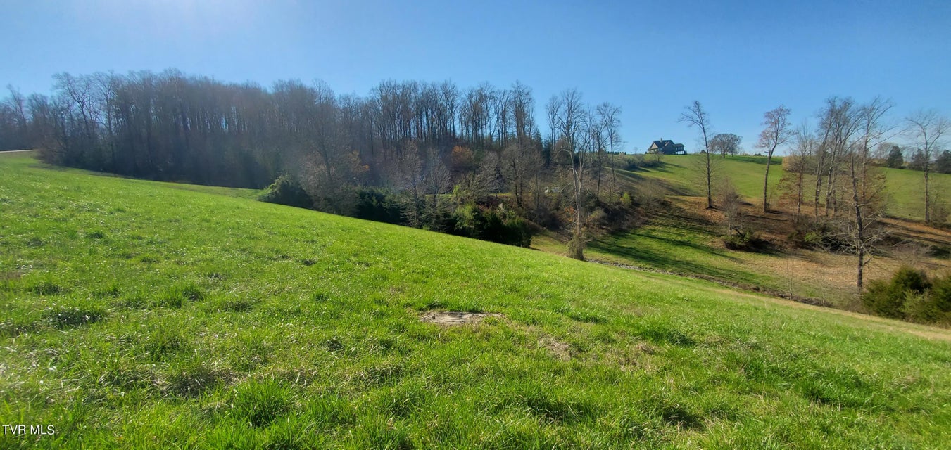 Photo #38: Lot 2 Smokey Quartz Boulevard