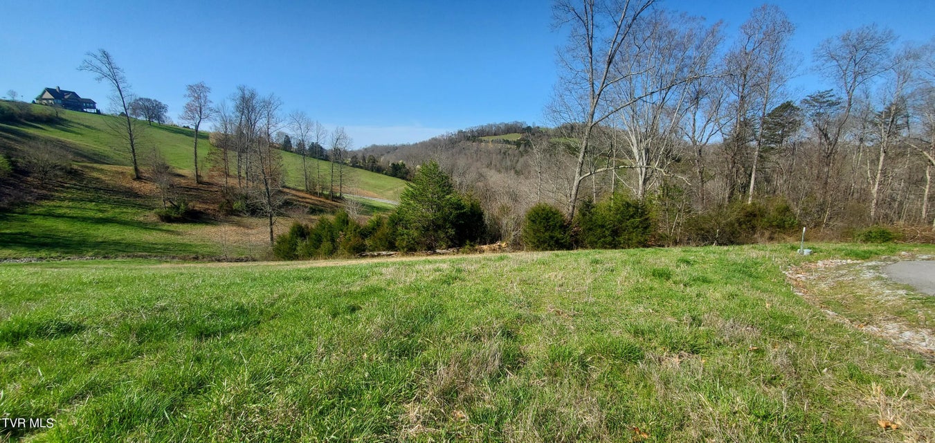 Photo #41: Lot 2 Smokey Quartz Boulevard