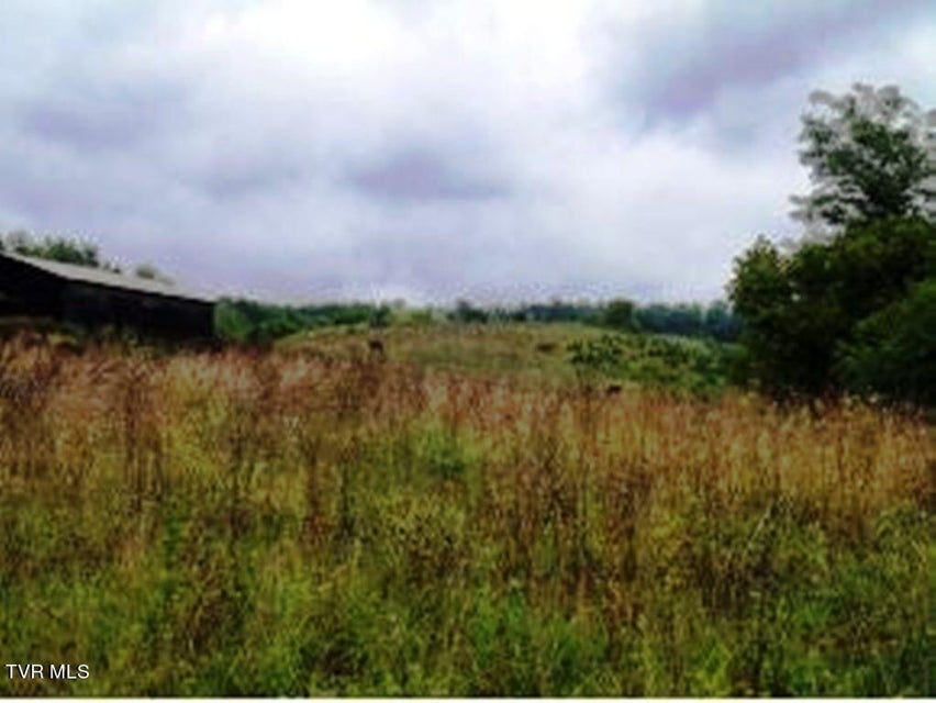 Photo #17: 0000 Roaring Fork Road