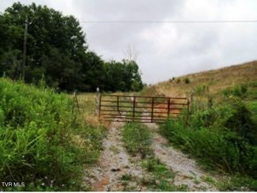 Photo #19: 0000 Roaring Fork Road