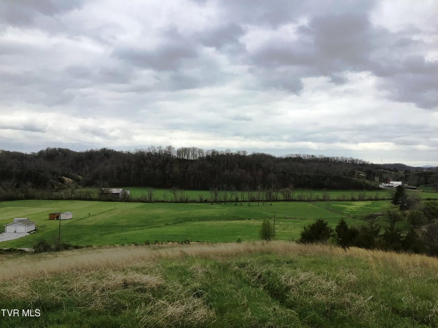 Photo #8: 0000 Roaring Fork Road