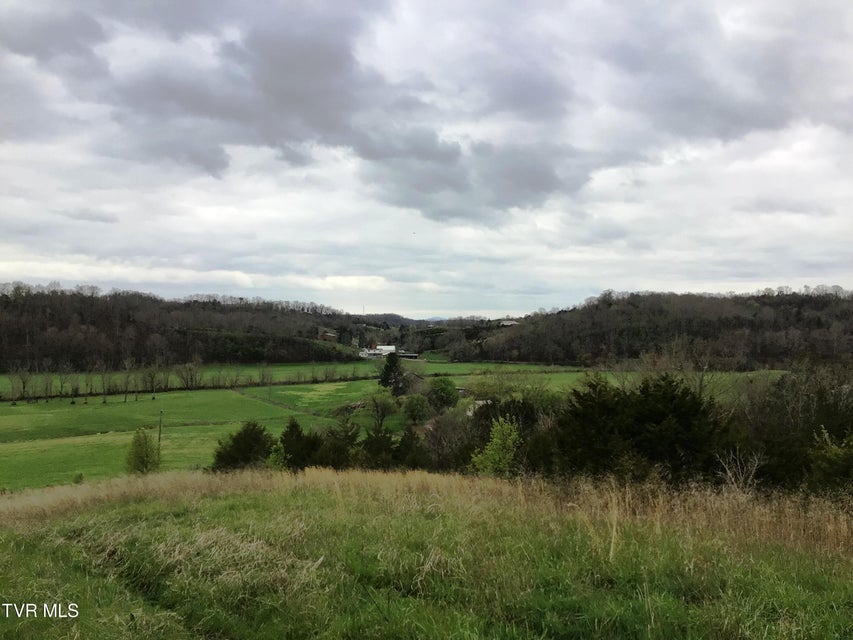 Photo #9: 0000 Roaring Fork Road