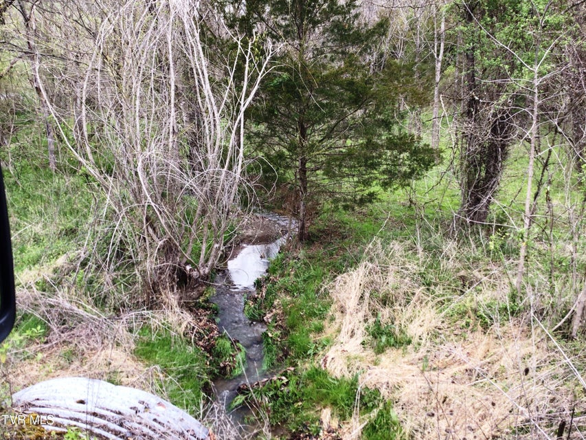 Photo #14: 0000 Roaring Fork Road
